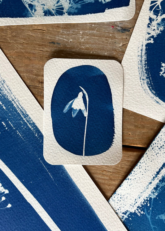 Snow Drop Oval- 7 x 9.5cm (approx) - Original Print