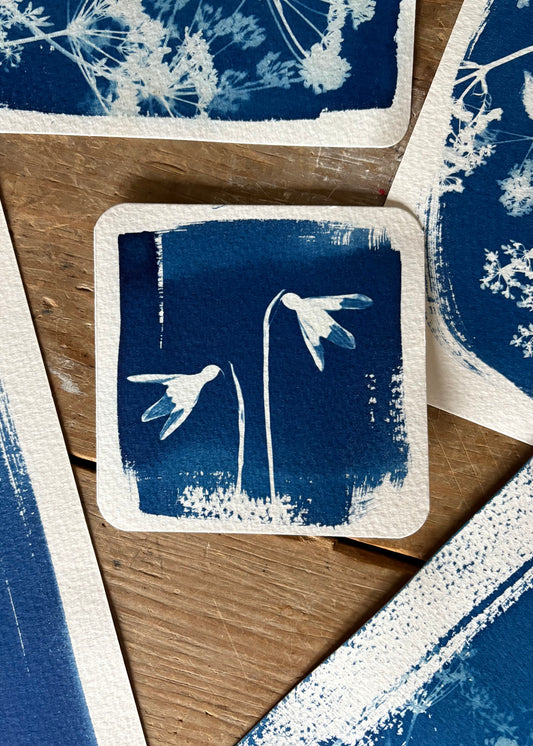 Snow Drop Pair - 9.5 x 9.5cm (approx) - Original Print