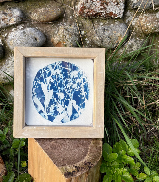 Forget me nots - wood washed square glass box frame SALE