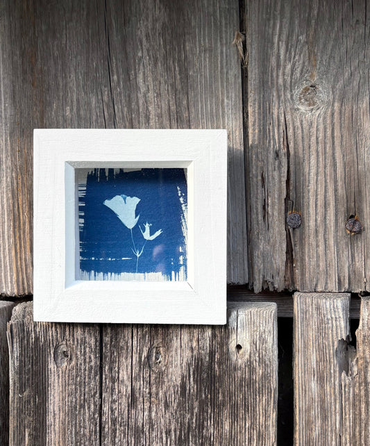 Geranium ii - white square glass box frame SALE