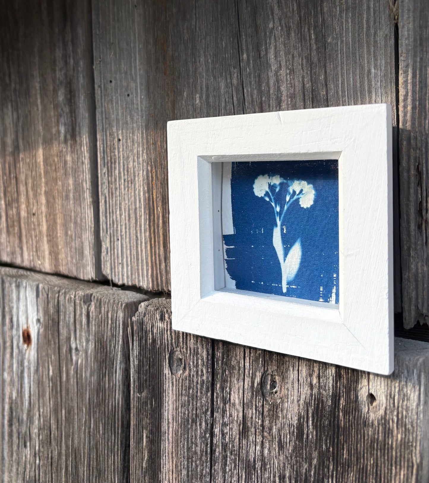 Forget me not - white square glass box frame SALE
