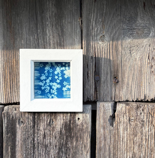 Elderflowers - white square glass box frame SALE