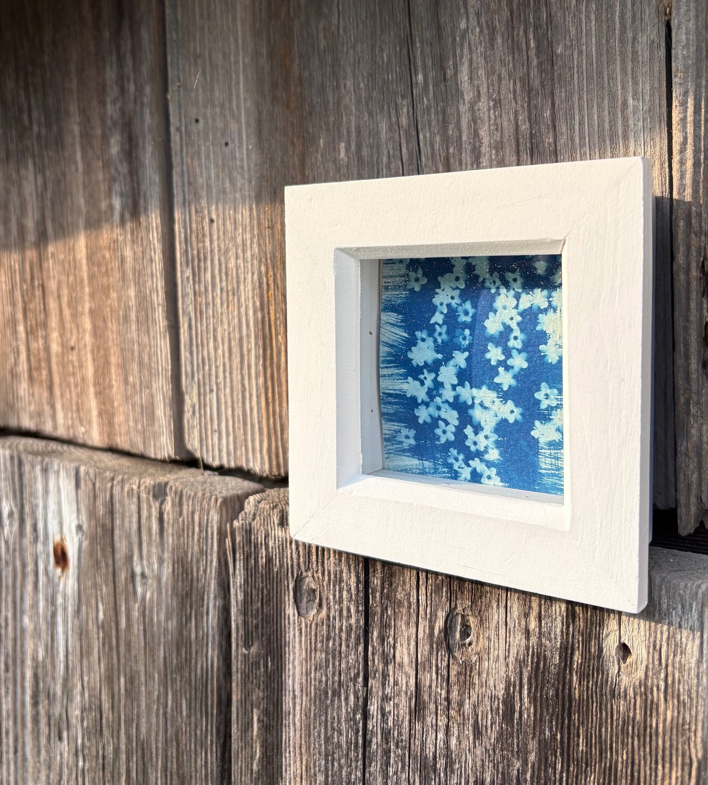Elderflowers - white square glass box frame SALE