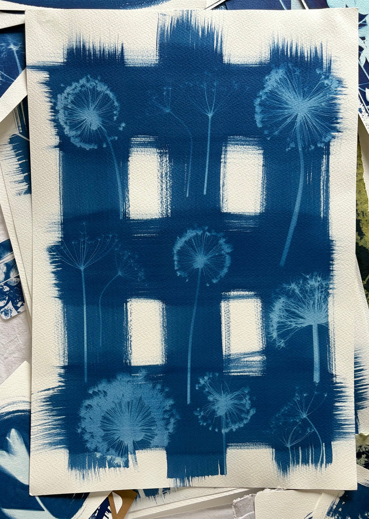 Allium check  (15x22") Original Print - SALE