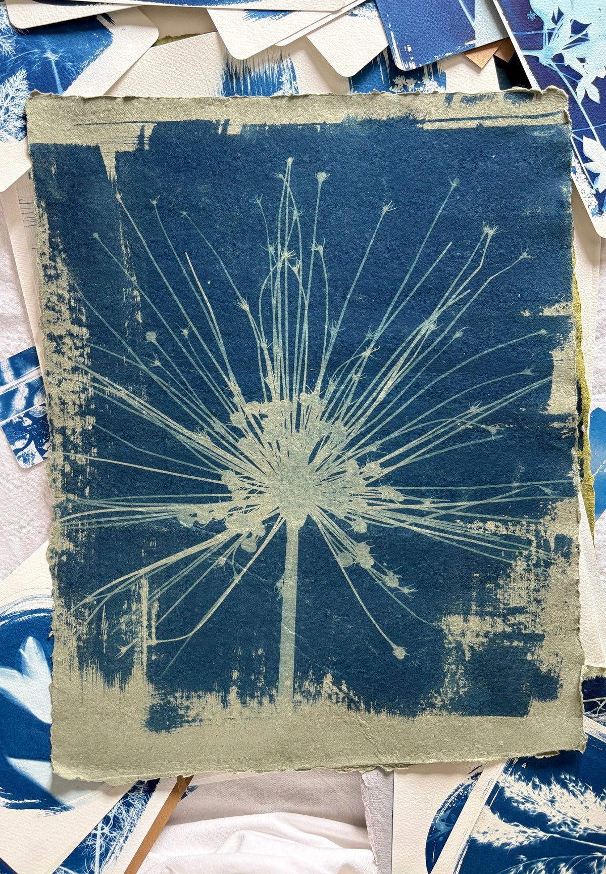 Green Schubertii (40x52cm) Original Print - SALE