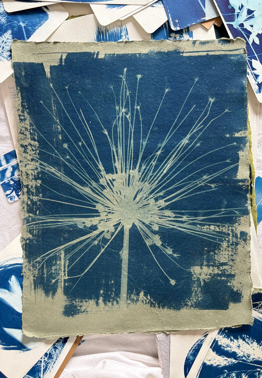 Green Schubertii (40x52cm) Original Print - SALE