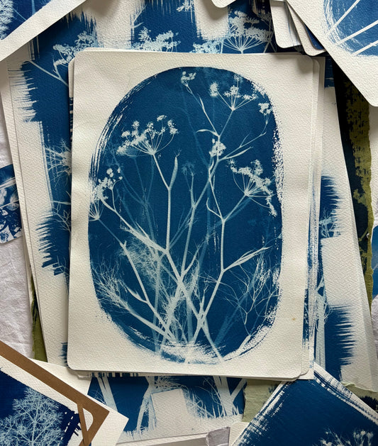 Fennel Oval 11x15" (approx) Original Print SALE