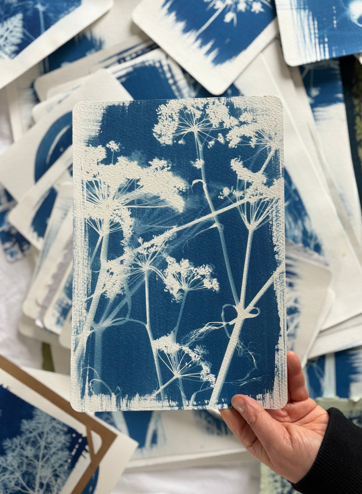 Fennel Layers 19x28cm - Original Print  - SALE