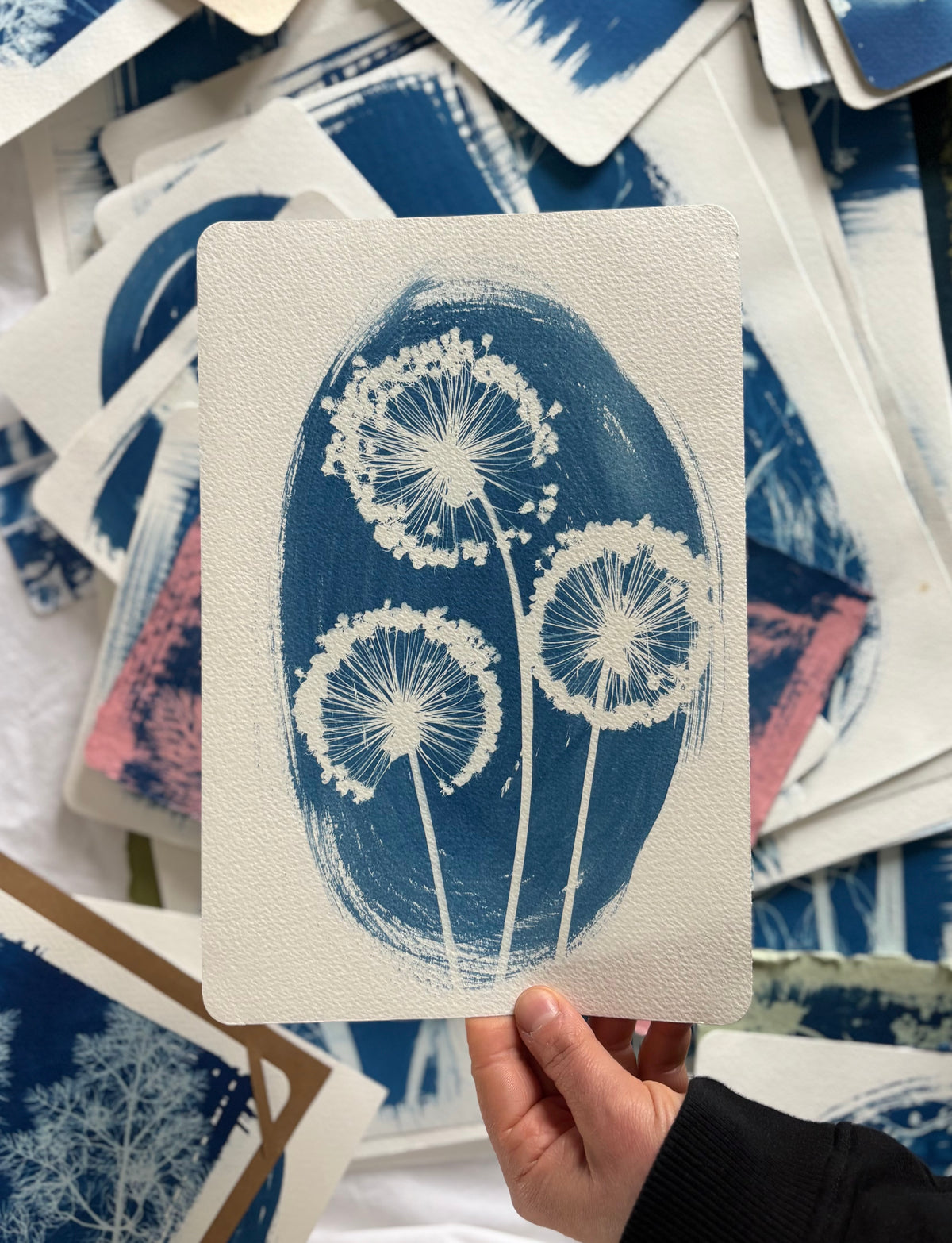Oval Alliums 19x28cm - Original Print  - SALE