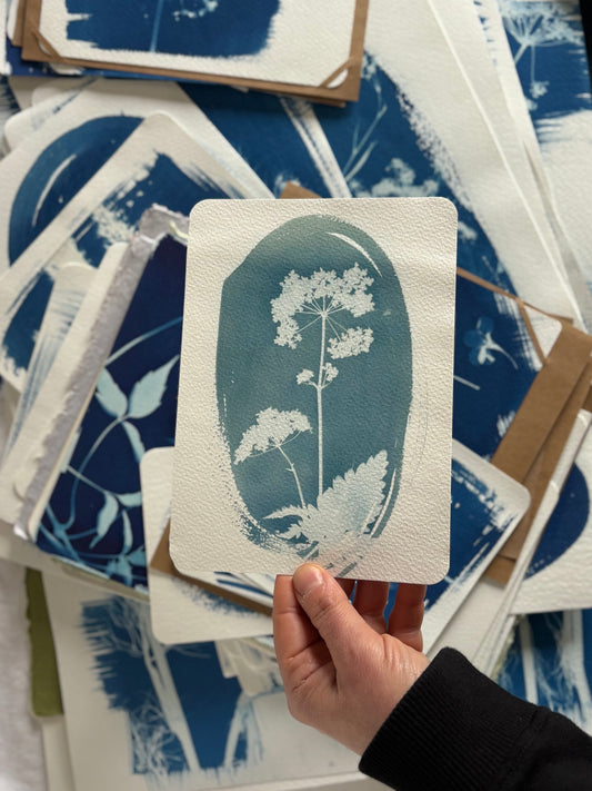Over Exposed Cow Parsley 14x19cm - Original Print  - SALE