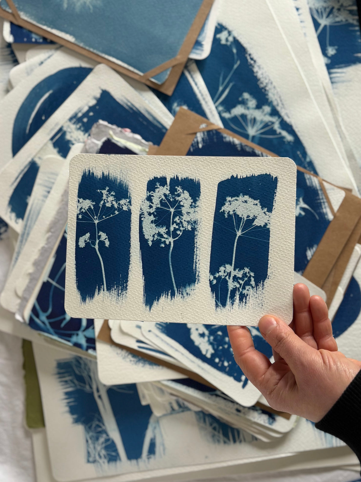 3 Stripe Cow Parsley 14x19cm - Original Print  - SALE