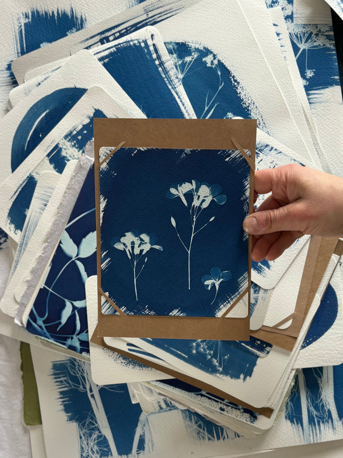 Honesty flower stems 14x16cm - Original Print  - SALE