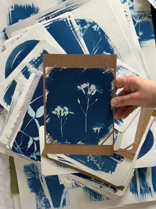 Honesty flower stems 14x16cm - Original Print  - SALE