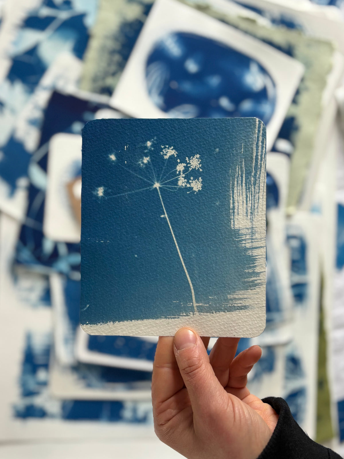 Single Stem 12.8x15cm - Original Print  - SALE