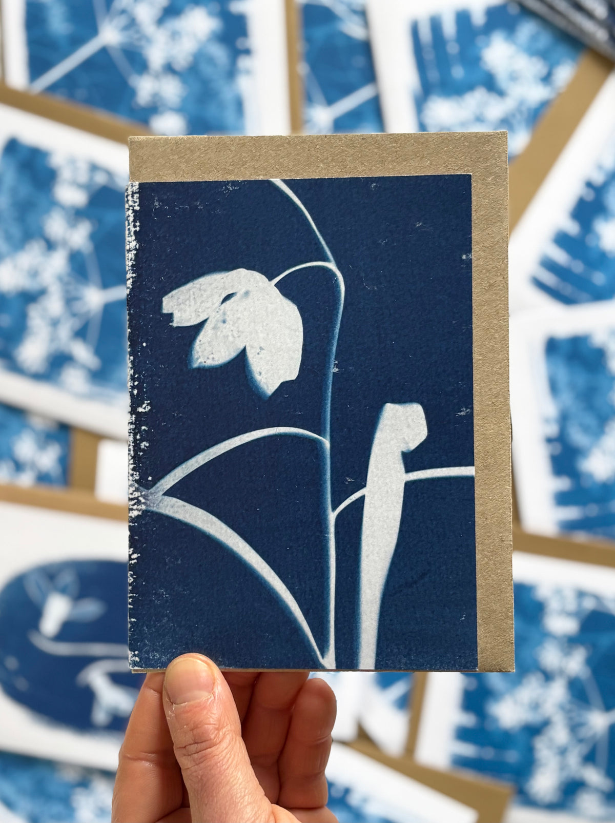 Cyanotype 2026 - Bit of Everything - Lucky Dip Bags
