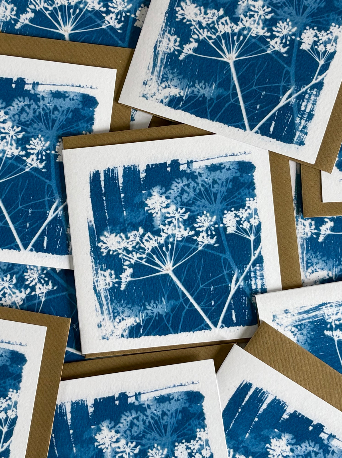 Cyanotype 2026 - Bit of Everything - Lucky Dip Bags