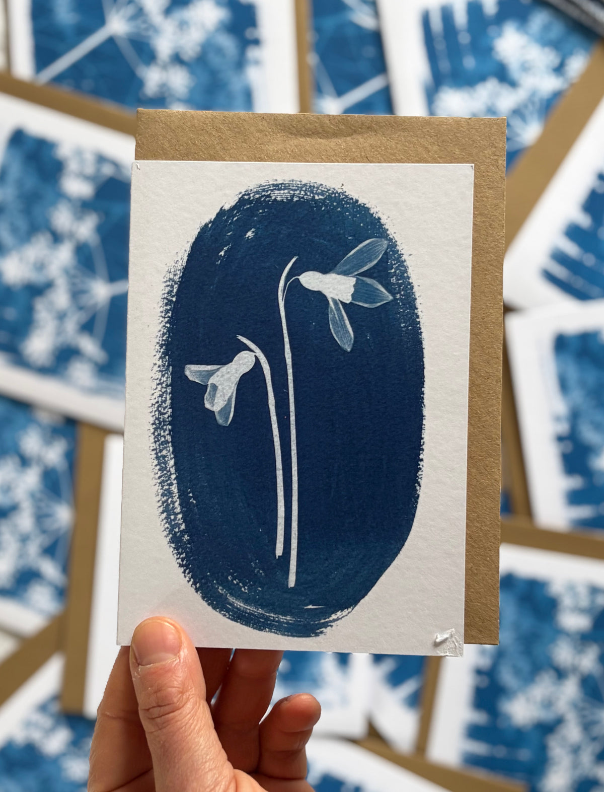 Cyanotype 2026 - Bit of Everything - Lucky Dip Bags