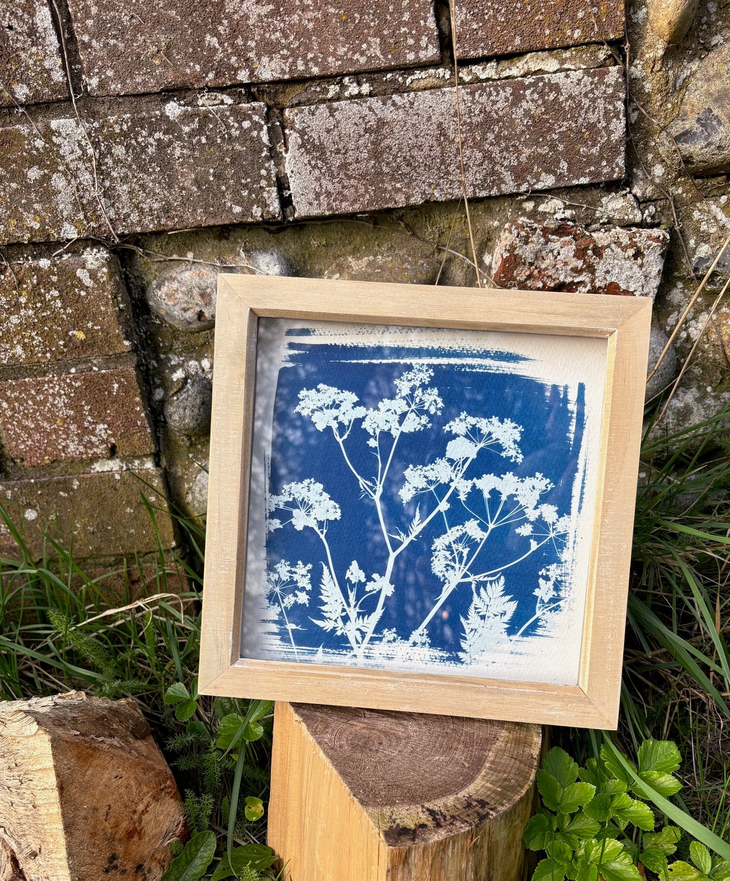 Cow Parsley- wood washed square glass box frame SALE