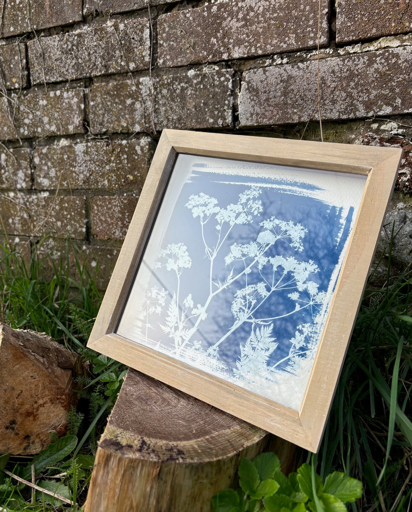 Cow Parsley- wood washed square glass box frame SALE