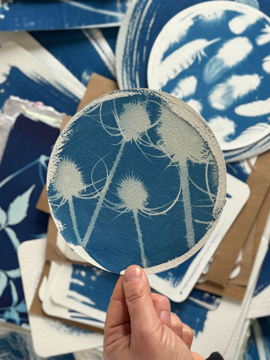 Teasel 15cm diameter - Original Print  - SALE