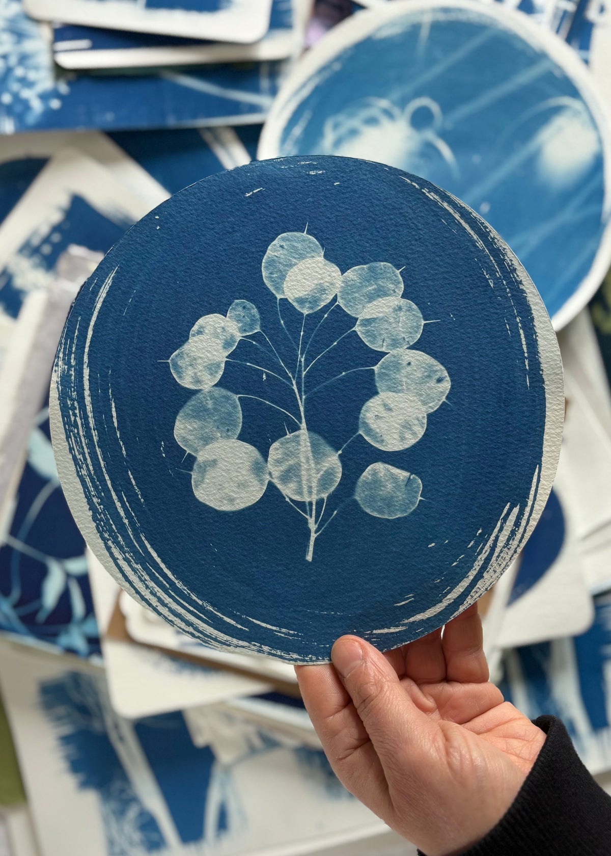 Honesty 20.5cm diameter - Original Print  - SALE