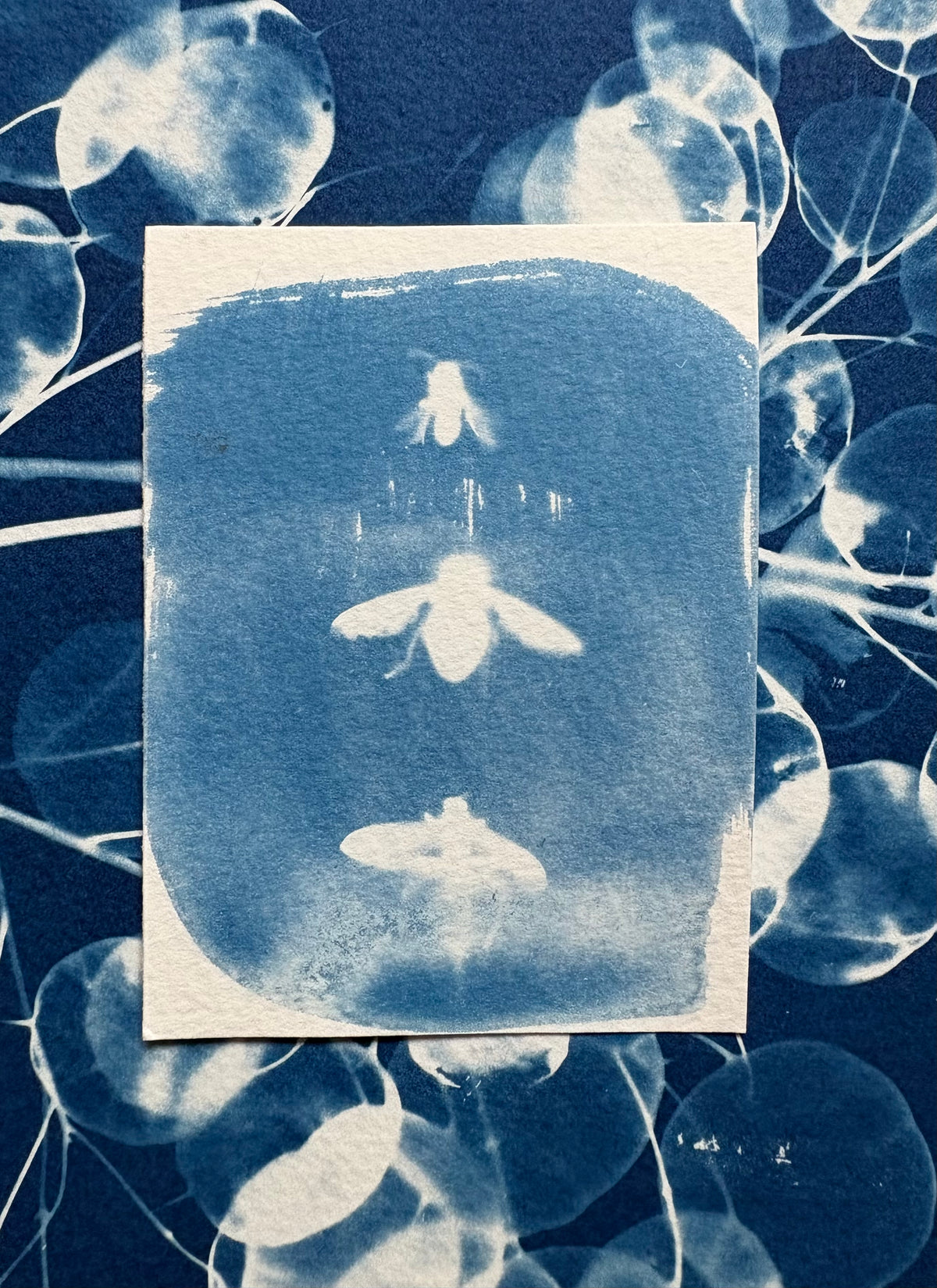 3 Flies 7x9.5cm - Original Print  - SALE