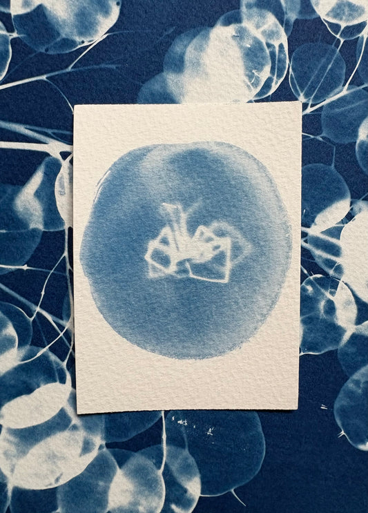 Spider 7x9.5cm - Original Print  - SALE