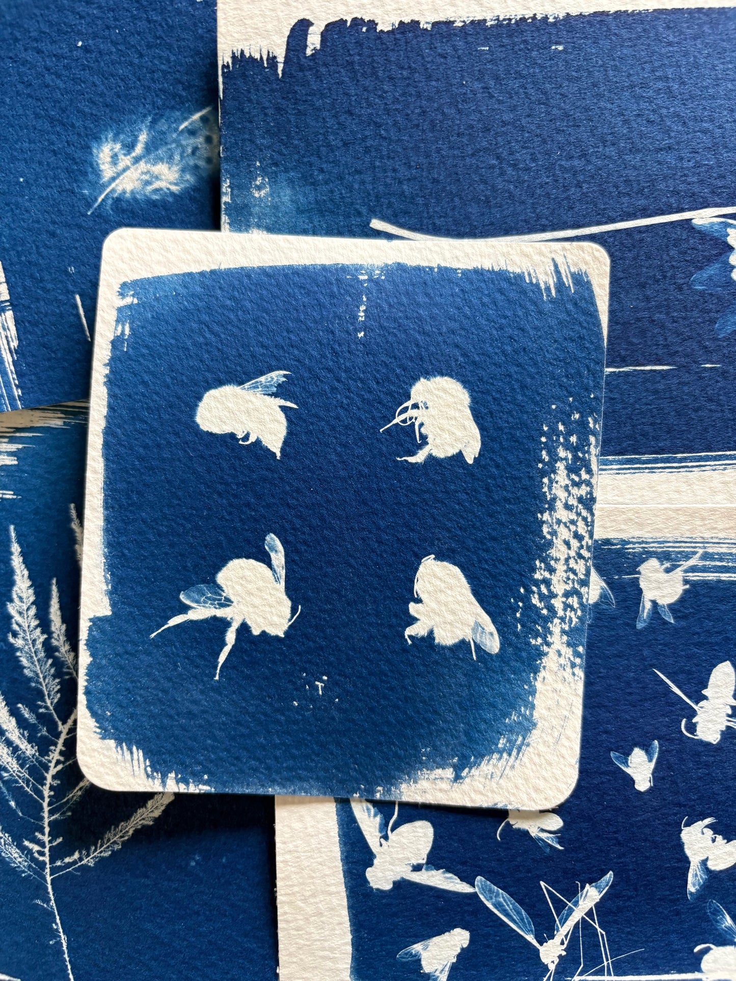 Bees 8X8cm - Original Print