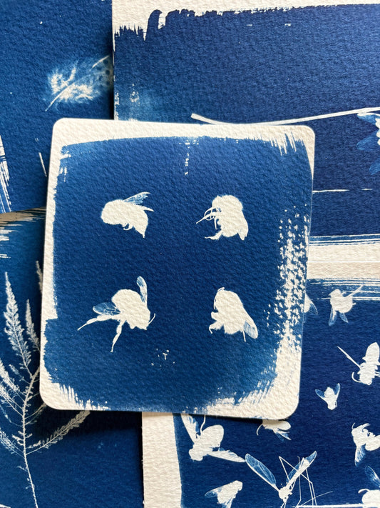 Bees 8X8cm - Original Print