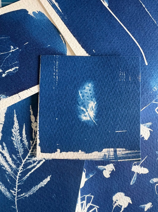 Guinea Fowl feather 8x8cm - approx - Original Print  - SALE