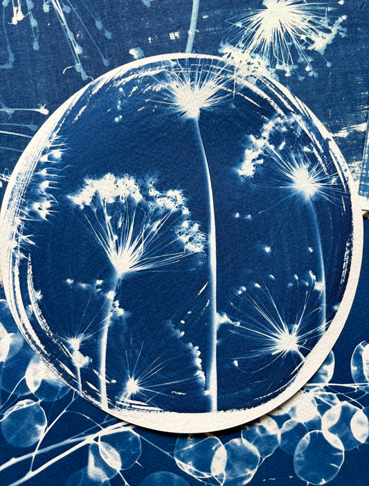 Alliums 20.5cm diameter - Original Print  - SALE