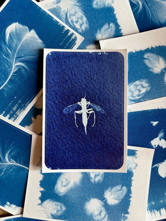 Slip Wasp - Rectangle Sticker