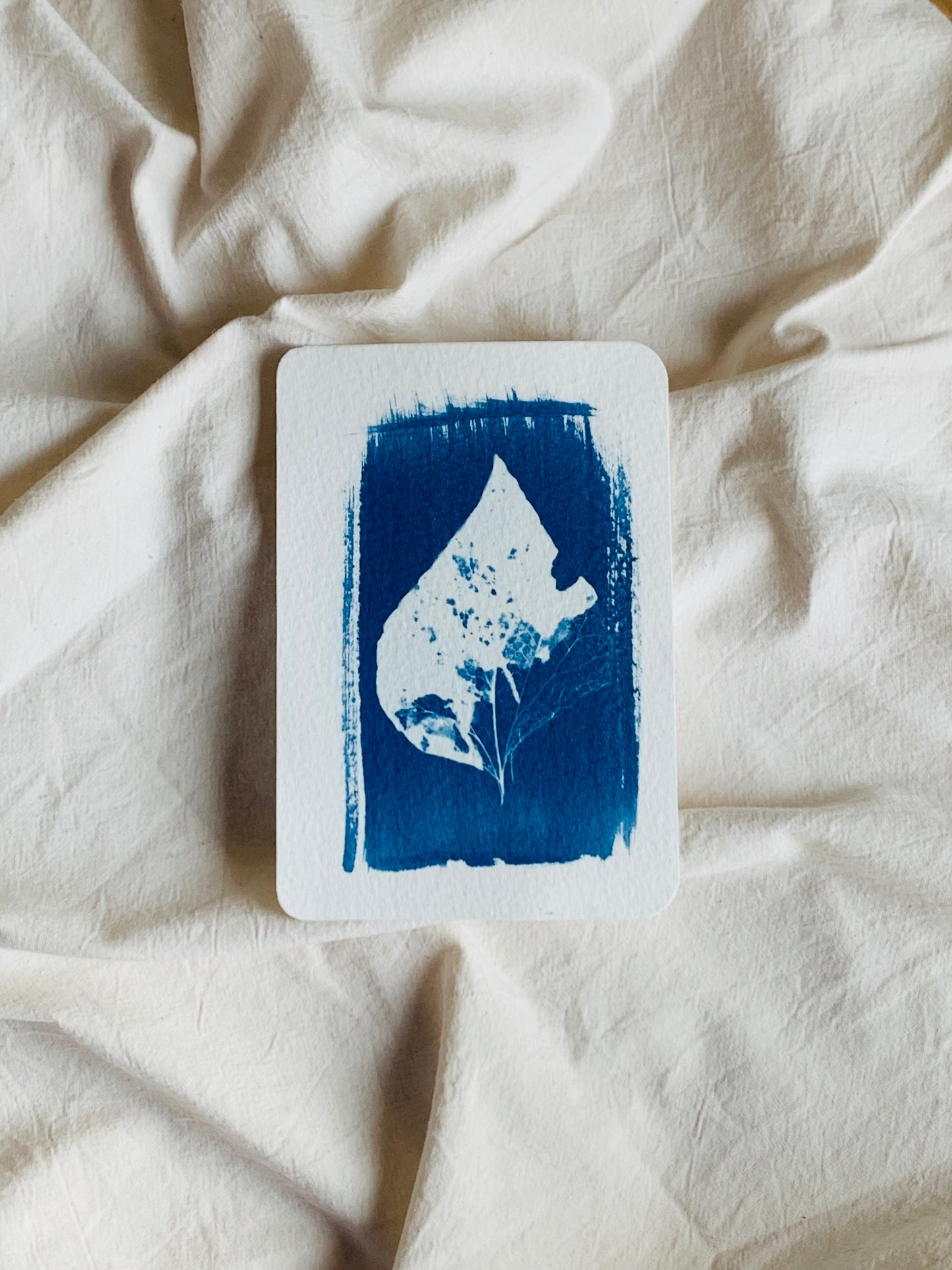 mini cyanotype print of a single leaf skeleton in a wide brushstroke