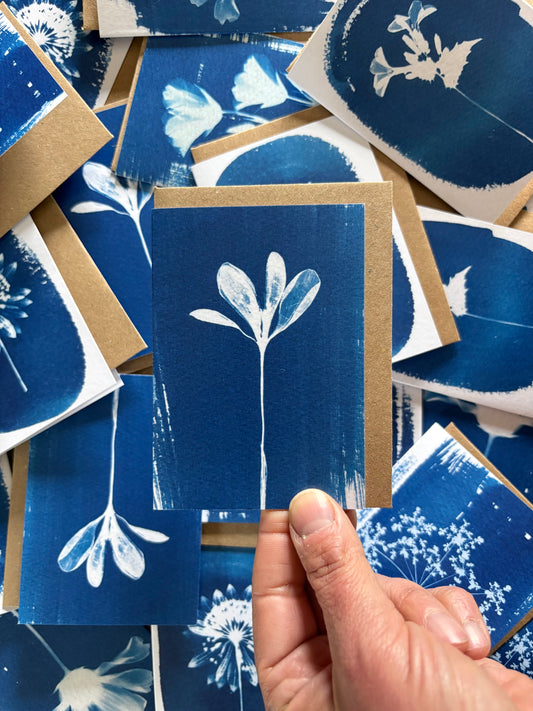 Crocus - Cyanotype - A7 Blank Card