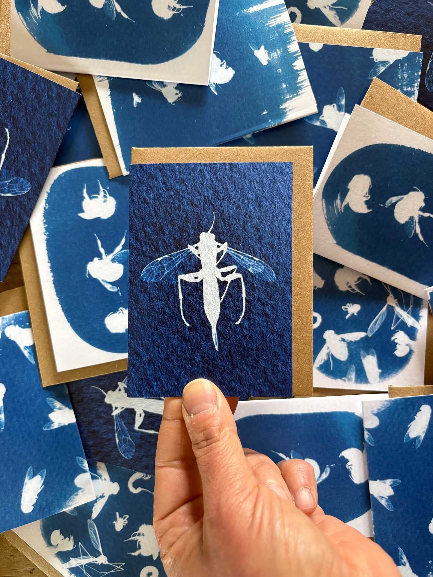 Slip Wasp - Cyanotype - A7 Blank Card