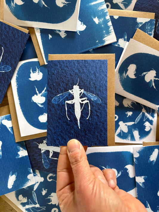 Slip Wasp - Cyanotype - A7 Blank Card