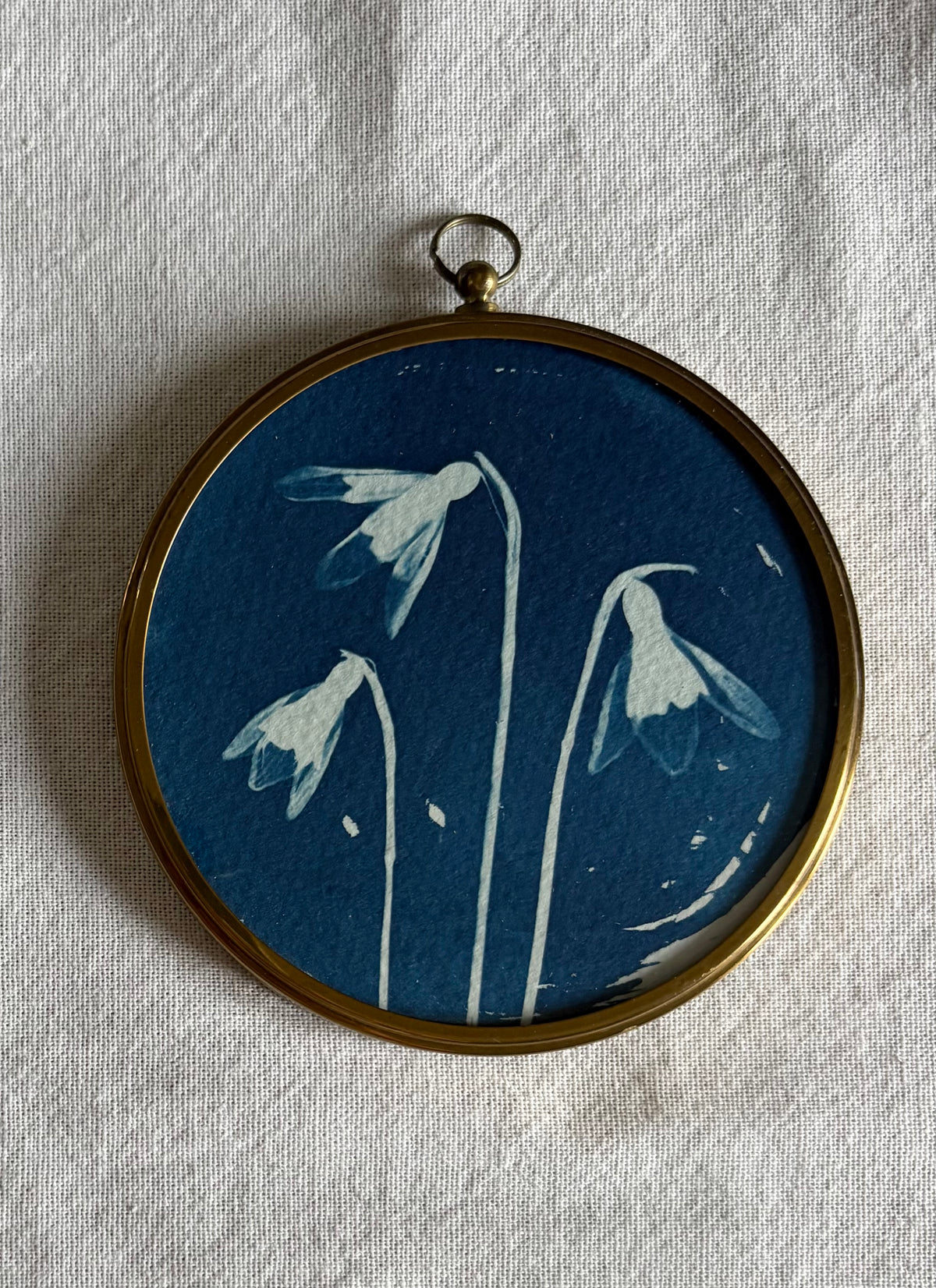 Snow Drop Trio - Brass Framed Circle Cyanotype - 10cm Diameter