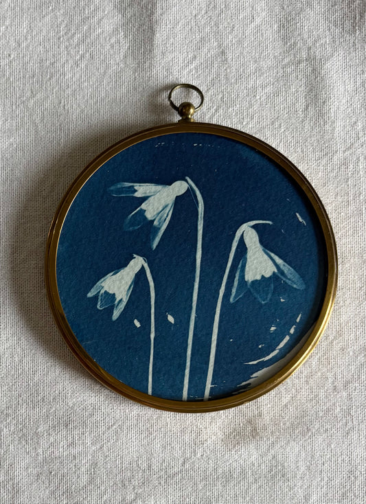 Snow Drop Trio - Brass Framed Circle Cyanotype - 10cm Diameter