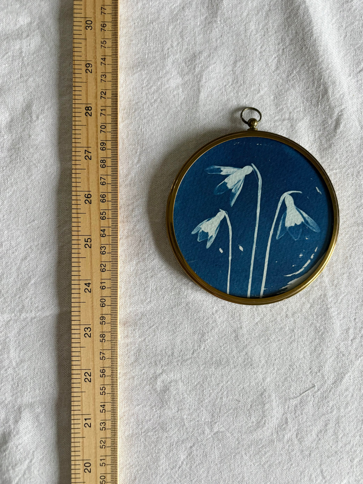 Snow Drop Trio - Brass Framed Circle Cyanotype - 10cm Diameter
