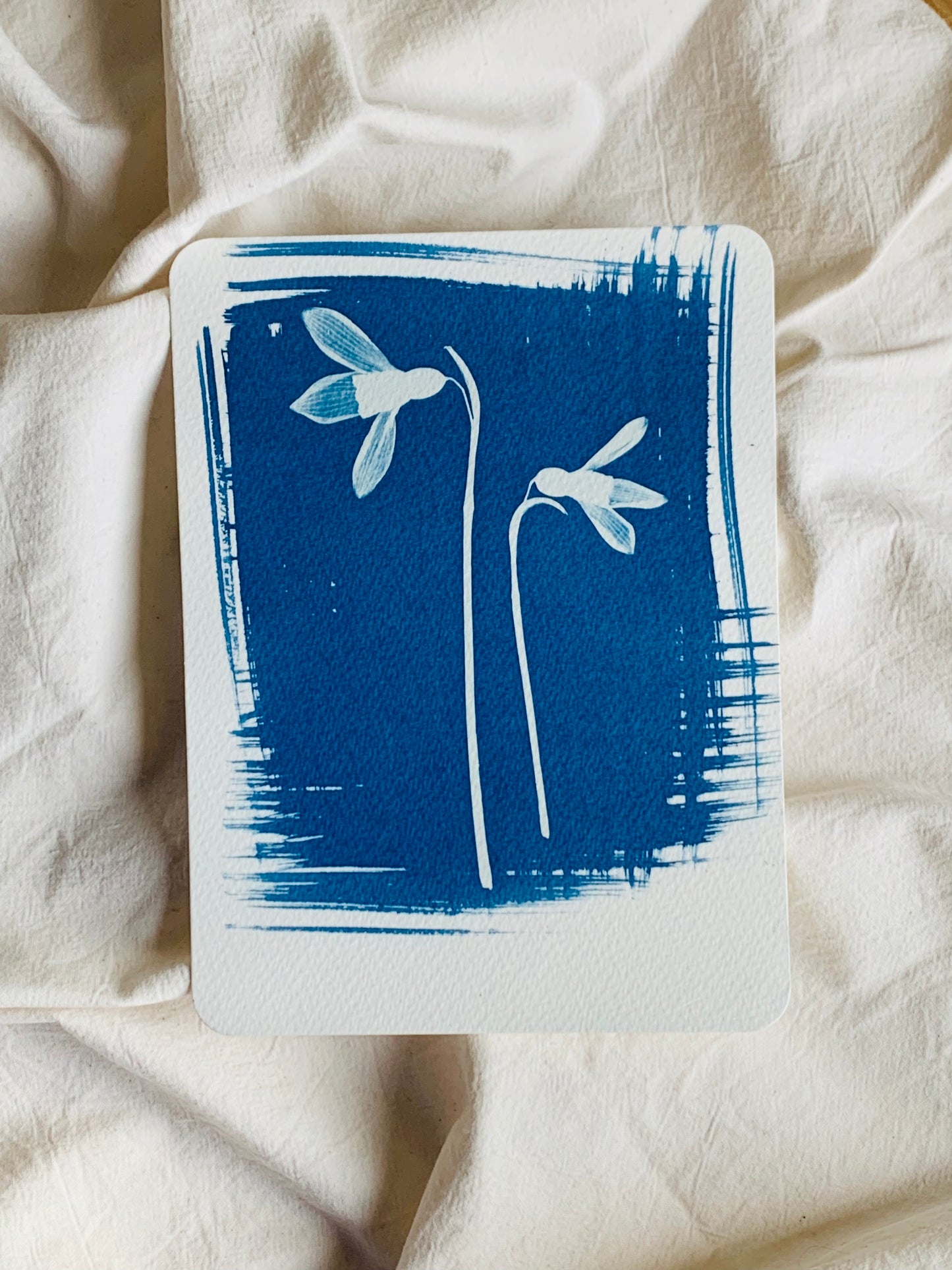 Snow Drops (14x19cm) Original Cyanotype Print