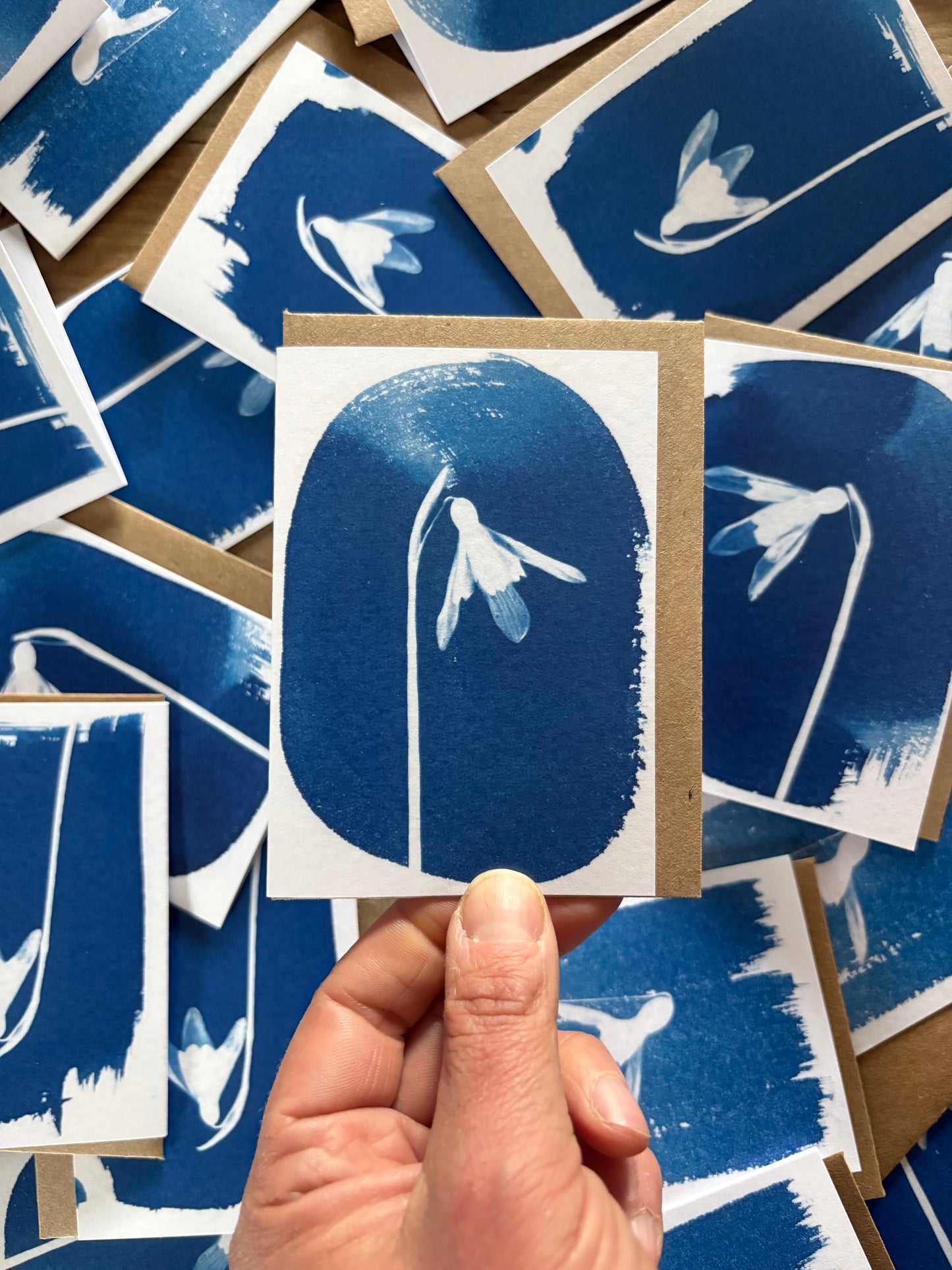 Snow Drop Oval - Cyanotype - A7 Blank Card