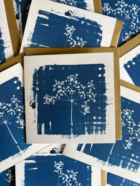 Cow Parsley - Cyanotype - Square Blank Card