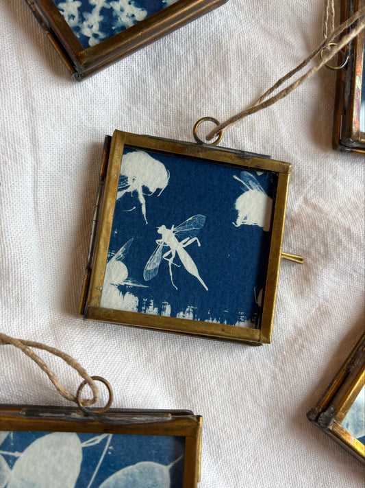 Bugs - bockingford - 4x4cm frame