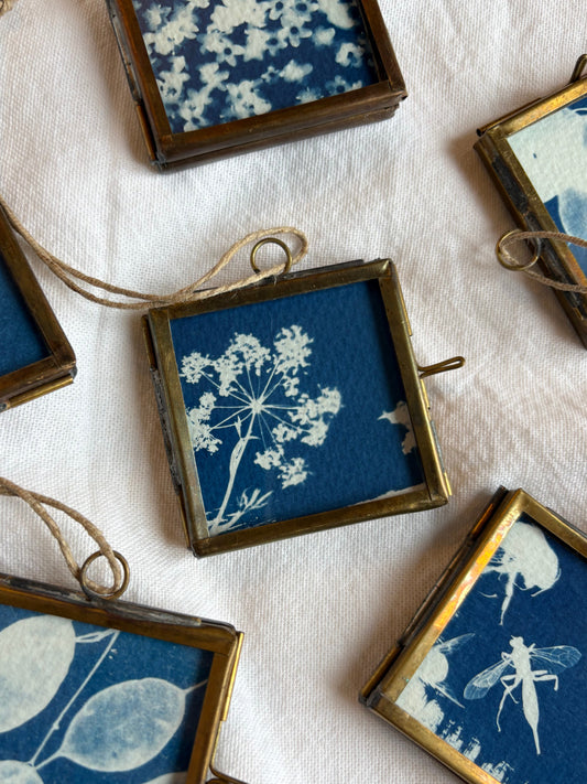 Cow Parsley - bockingford - 4x4cm frame