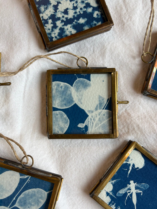 Honesty ii - bockingford - 4x4cm frame