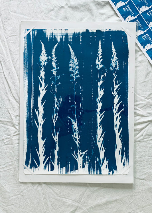 Purple Loosestrife Line-up - Cyanotype 38x28cm (approx) Original Print -SALE