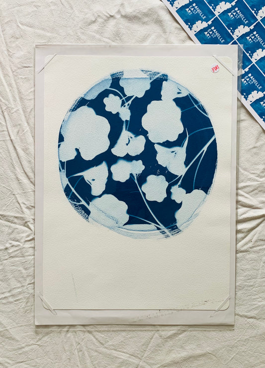 Nasturtium Round - Cyanotype 38x28cm (approx) Original Print- SALE