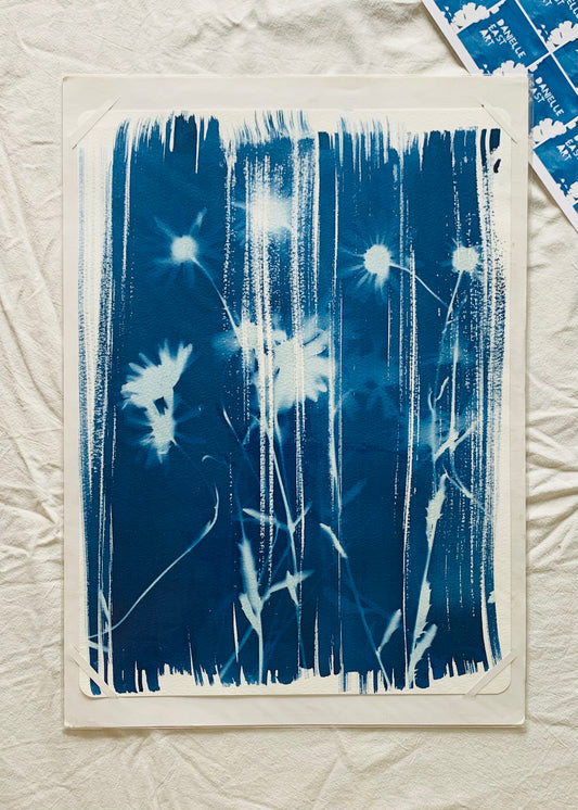 Ox Eye Stripes - Cyanotype 38x28cm (approx) Original Print- SALE