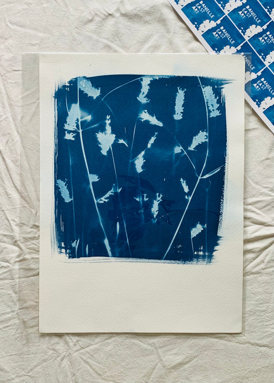 Lavender Polaroid- Cyanotype 38x28cm (approx) Original Print- SALE