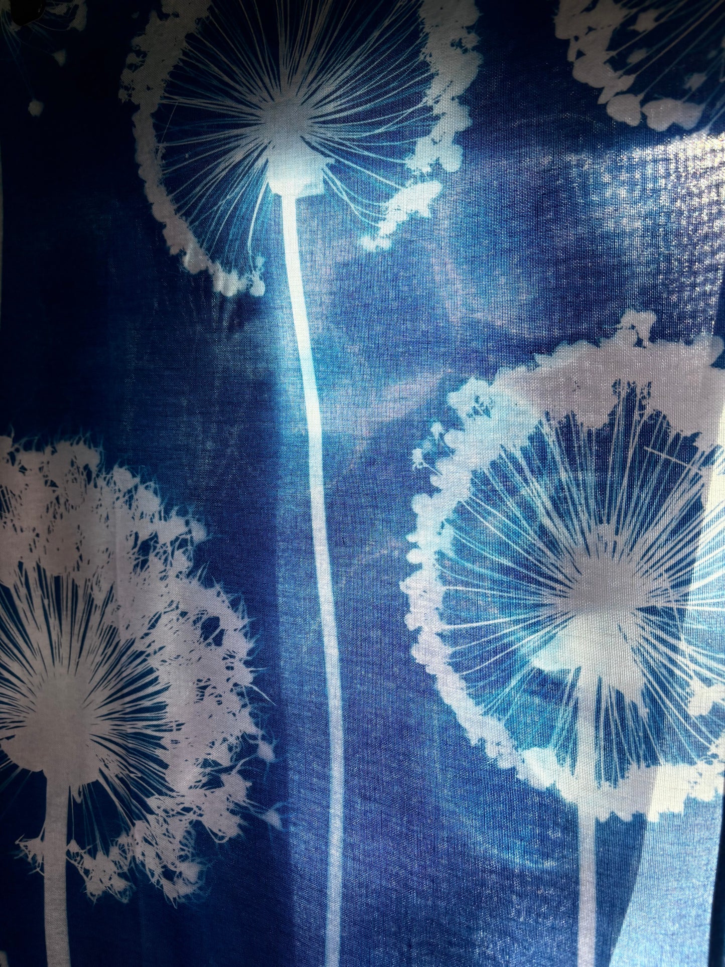 Allium Wallpaper - Cyanotype - Tea Towel